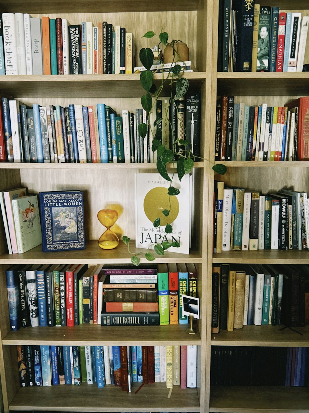 Home library with tall wooden shelves filled with books